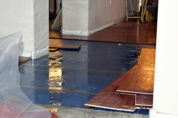 Professional Basement Flood Cleanup technician working in Scurry, TX